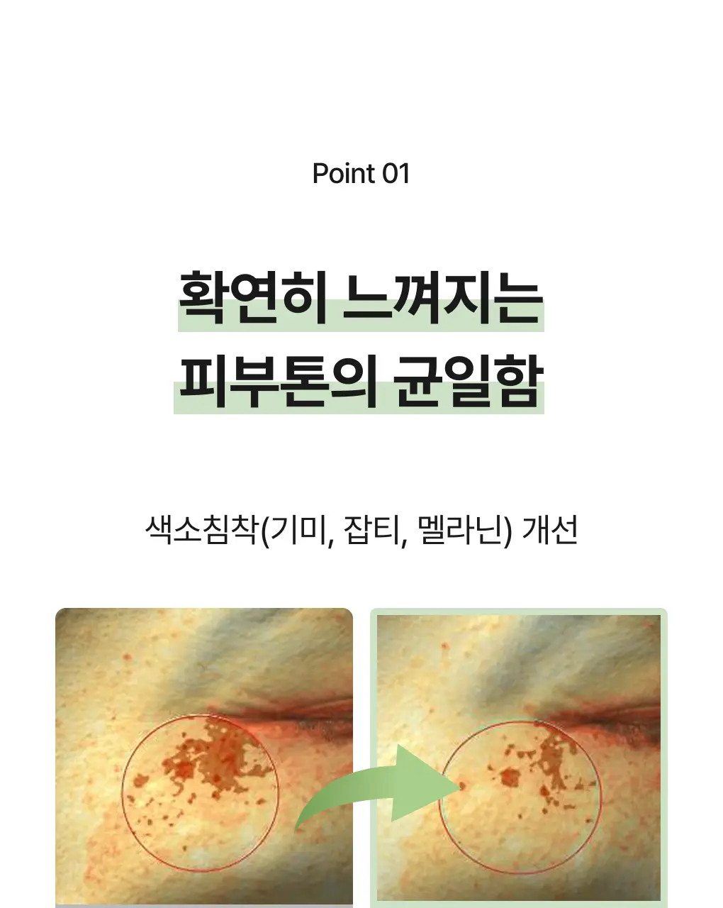 [색소침착/흔적] 청미정 기미잡티크림 카카두플럼 50g 상세페이지 5